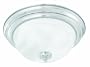 Thomas Lighting Sl8692-78 Multi-Purpose Two-Light Flushmount, Brushed Nickel