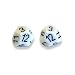 Pair of Skew d12 Dice
