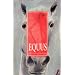 Equus. mit Materialien (New Longman Literature)