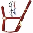 Economy Nylon Halters W/Snap
