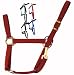 Sporting Goods : Economy Nylon Halters W/Snap