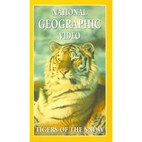 National Geographic Video - Tigers Of The Snow