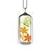 Butterfly Necklace - available in 2 colors