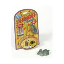 Turbo Radio Controlled Mouse Cat Toy