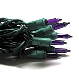 Good Tidings BST66553 SuperBright Christmas Light Set, Purple