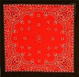 Two Toned Black & Red Paisley Bandana