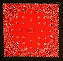 Two Toned Black & Red Paisley Bandana