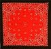 Two Toned Black & Red Paisley Bandana