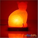 Gift of Life Salt Lamps Light Metaphysical Aromatherapy