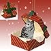 Conversation Concepts Silver Tabby Maine Coon Cat Gift Box Red Ornament