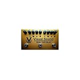 Visual Sound Dual Tap Delay
