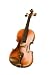 Antique Style Natural Color Full Size 4/4 Violin with Case and Accessories