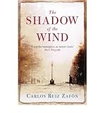 The shadow of the wind
