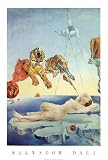 Salvador Dali Dream Caused by the Flight of a Bee a Second Before Awakening Art Print Poster - 24x36 Poster Print, 24x36
