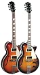 Johnson Delta Rose Archtop Electric Guitar