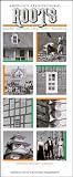 Americas Architectural Roots: Ethnic Groups that Built America (Building Watchers Series)