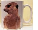 Meerkat MUG