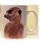 Meerkat MUG