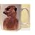 Meerkat MUG