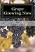Grape Growing Now