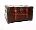 19.75 in w x 13 in d x 11 in ht Leather Checkered Trunk