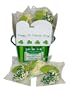 Belgian White Chocolate Dipped St. Patrick's Day Fortune Cookies