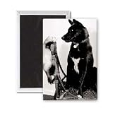 The odd couple - 3x2 inch Fridge Magnet - large magnetic button - Magnet