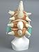 League of Legends (Lol) Plush Toy Hat PAX Armored Dragon Turtle Rammus Teemo Hat Cosplay