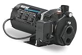 IMAGE OF Wayne CWS100 1-Horsepower Cast Iron Convertible Well Jet Pump