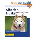 Siberian Husky: PraxisRatgeber