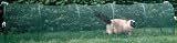Kittywalk Outdoor Net Cat Enclosure for Lawns