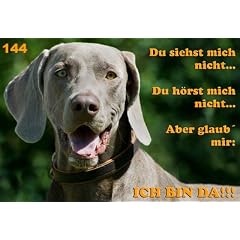 Metall - Warnschild Weimaraner