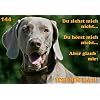 Metall - Warnschild Weimaraner