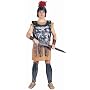 Adult's Roman Soldier Halloween Costume