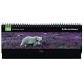 GEO Tischquerkalender Lebensr�ume 2012