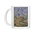 Photo Mugs of WAT-10722 African Tulip-Tree from Ardea Wildlife Pets