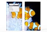 Nemo 2 - Lapjacks skin for Apple iPod mini