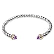 Two-Tone 14k Yellow Gold Plated and Sterling Silver Thin Twisted Bangle with Purple Stone Edged Cuff Bracelet
