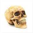 Grinning Skull