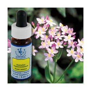 Flower Essence Services - Healing Herbs Dropper Centaury - 0.25 oz. ( Multi-Pack)