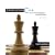 Starting Out with C++: From Control Structures through Objects (6th Edition)