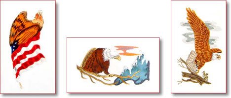 Brother SA628 Eagles Applique on Floppy