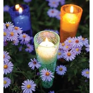 Sparkle Cones Assortment Pack by 