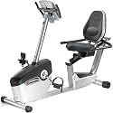 Schwinn 226 Recumbent Exercise Bike