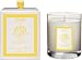 Soular Therapy Astrological Soy Based Candle – Gemini