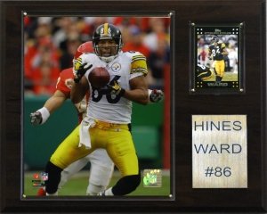 Pittsburgh Steelers Hines Ward 12