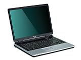 Fujitsu Siemens Amilo Pa 2510 15,4 Zoll WXGA Notebook (AMD Turion 64 X2 TL-60 2.0GHz, 2GB RAM, 250GB HDD, Intel GMA X1200, DVD+/- RW DL, Vista Home Premium) - 