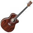Dean Exotica Andes Acoustic-Electric Guitar, Gloss Natural