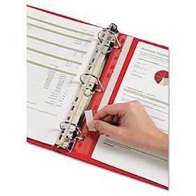 HOLDit! SelfAdhesive MultiPunched Binder Insert Strips 25 Strips/Pack