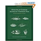Otoliths of Common Australian Temperate Fish: A Photographic Guide by Dianne Furlani, Rosemary Gales, and David Pemberton